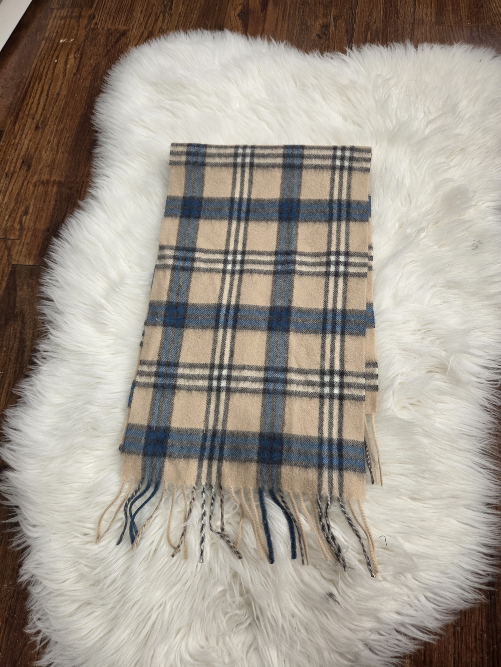DUNEDIN CASHMERE Beige and Blue Plaid Men's Scarf
